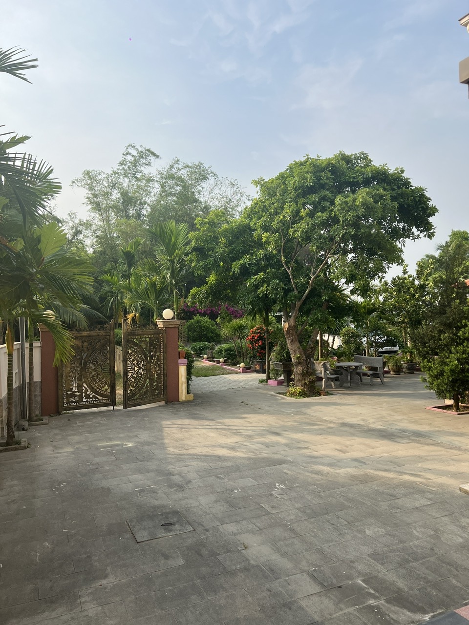 Trà Quế gardens